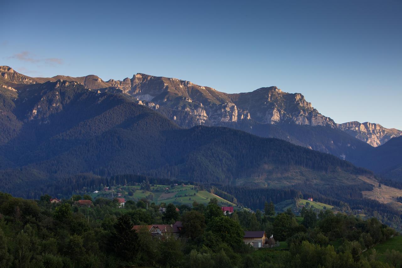 Bran Monte Crai Chalet Bran (Brasov) Exterior foto