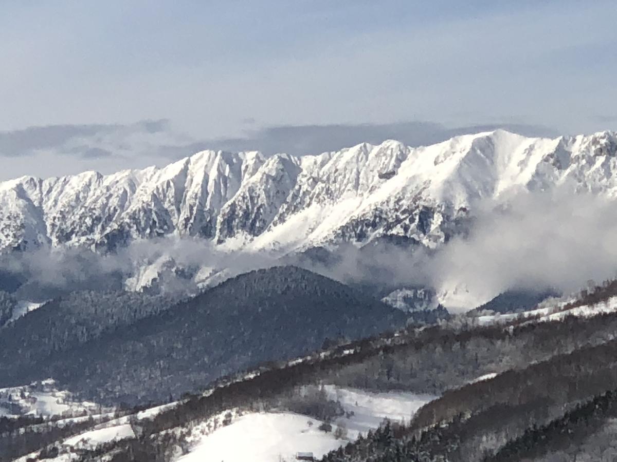 Bran Monte Crai Chalet Bran (Brasov) Exterior foto